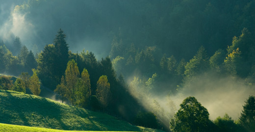 647413 (a): :2560x1327